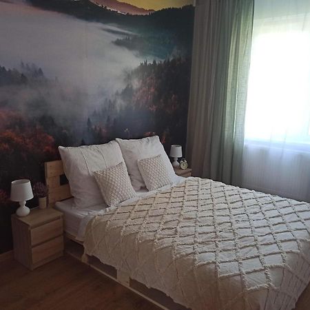 Glacian Apartment Kłodzko Dış mekan fotoğraf